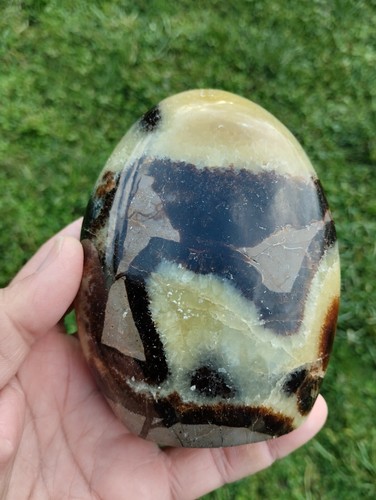 Septaria forme libre pierre - septaria,