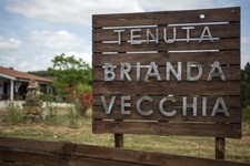 Lettere in ferro numeri in metallo scritte in ferro personalizzate su misura