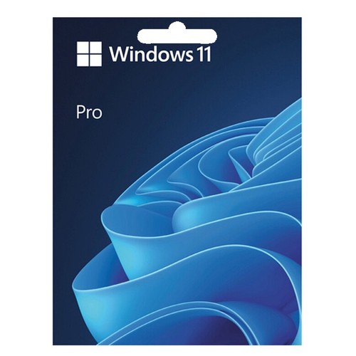Microsoft windows pro - pro, 1