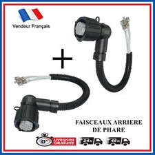 Fanale Posteriore Lampada