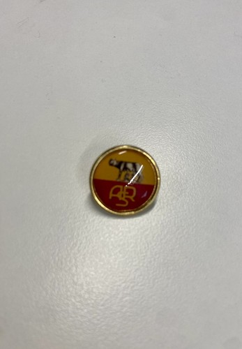 Pin spilla badge - spilla,