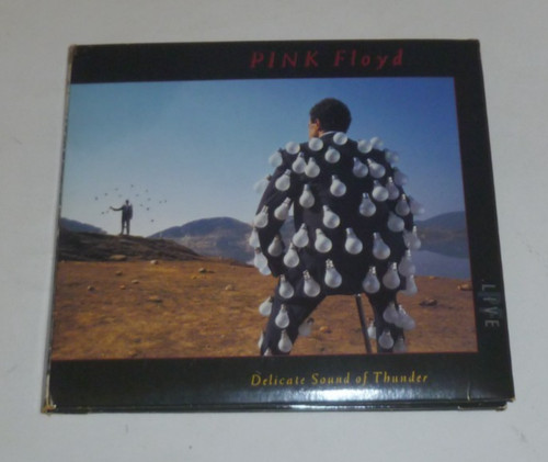 Pink floyd delicate - floyd,