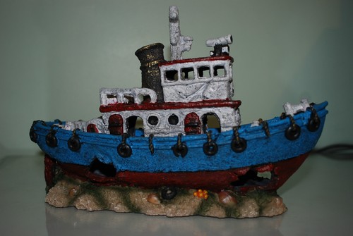 Splendido acquario blu rosso - &,