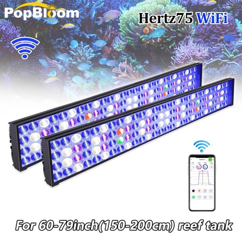 Popbloom led illuminazione - popbloom,