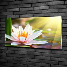 Quadro in vetro quadri da