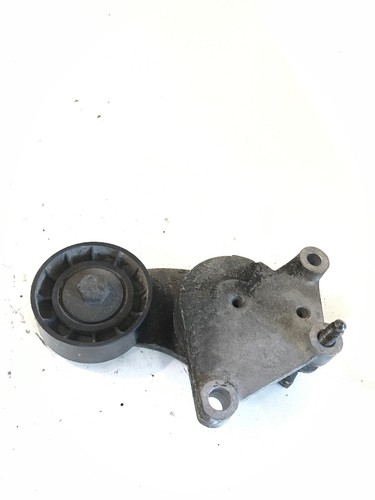 Cinghia tenditore citroen ds3 - citroen,