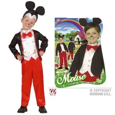 Set costume carnevale topolino - set,