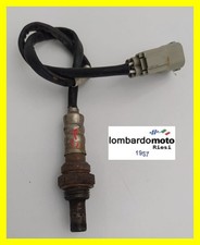Sonda lamba lampada marmitta - ,