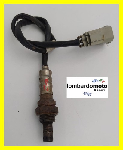 Sonda lamba lampada - sonda,