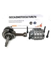 Vilebrequin Motosega ECHO