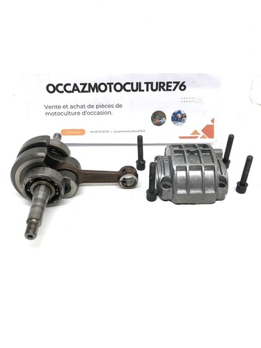 Vilebrequin motosega echo - motosega,