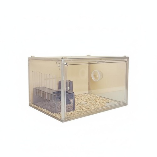 Acrylic hamster enclosure - hamster,