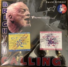 DAVID GILMOUR BRIGHTON