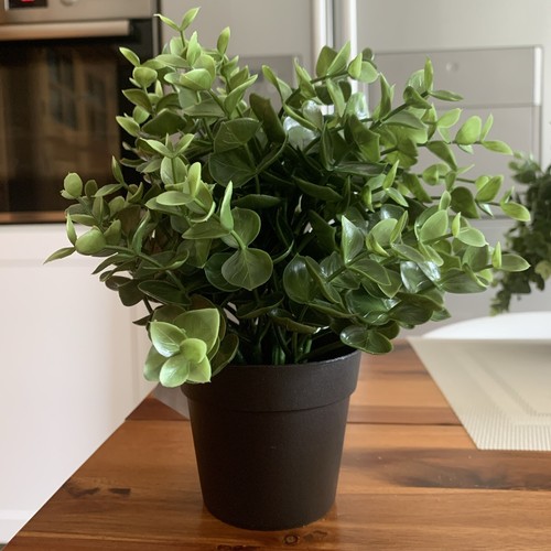 Ikea fejka pianta - in, vaso