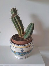 Portavaso Facciolini  Ceramica Di Castelli Made In Italy