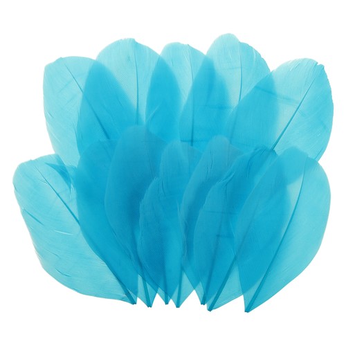 Piume oca 80pcs - d'oca,