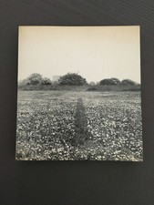 ARTE POVERA GERMANO CELANT