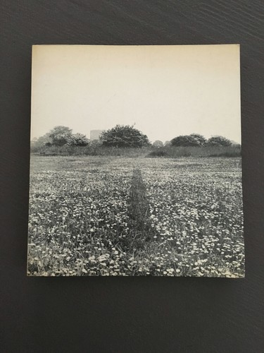 Arte povera germano celant - arte,