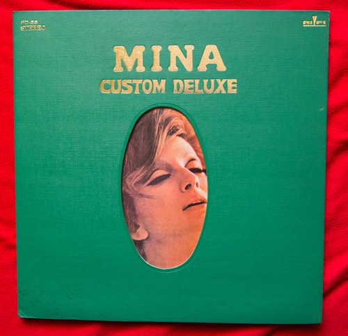 Mina disco vinile custom - vinile,