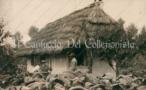 1929 pizzighettone coltivatore - 1929,