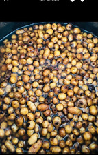 Saccone 10kg TIGERNUT bollite tiger esca pastura carpfishing carpa