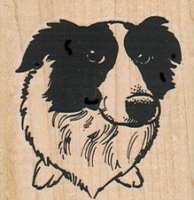 Border Collie Dog Face 2 x 2"