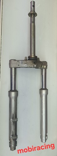 Forcella anteriore gambali - +, +
