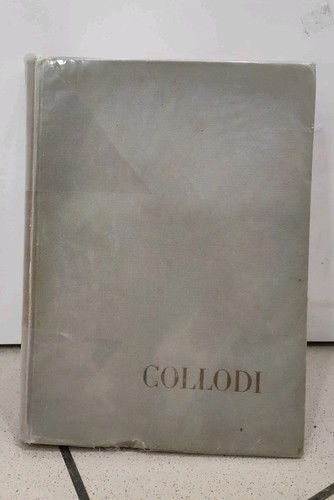 Libro pinocchio collodi la - libro,