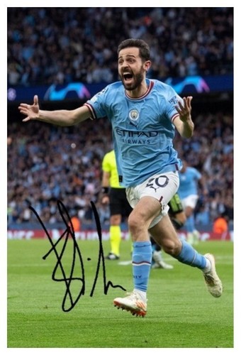 Bernardo silva semi final - silva,