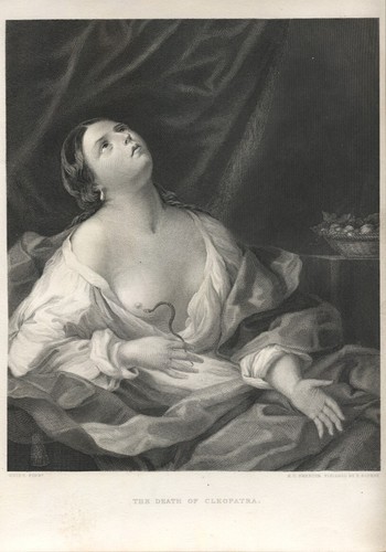 Morte cleopatra di - cleopatra,