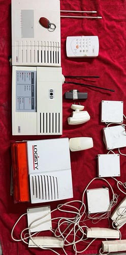 Logisty centrale vocalis - logisty,