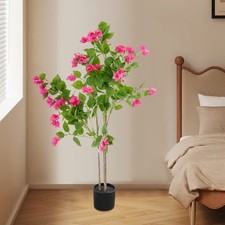 Albero di bouganville