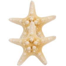  Fermaglio per capelli stella