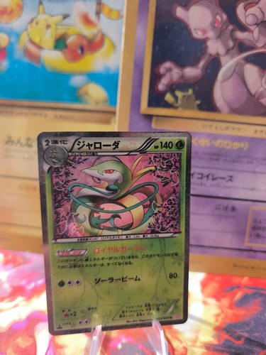 Carta pokemon card - carta, holo