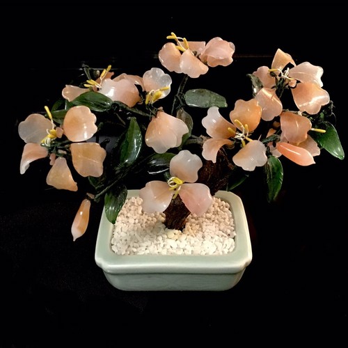 Bonsai filo fiori pesca - fiori,