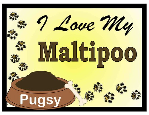 Magneti maltipoo - magneti,