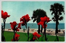 Plyler Postcard: 1960s Myrtle