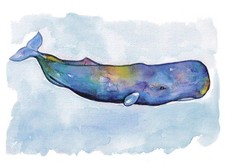 Stampa acquerello balena