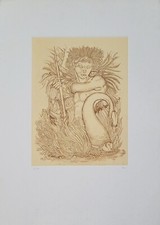 Giuliano pini leda il - e,