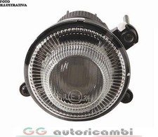 FENDINEBBIA PER SMART FORTWO