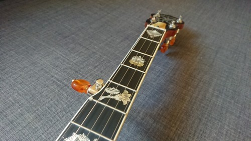 Cimelio wildwood corde banjo - cimelio, 5
