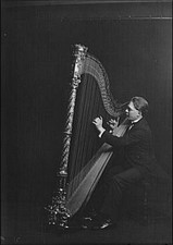 Salvi,Alberto,Mr,musicisti,arp