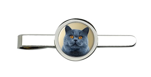 Fermacravatta gatto british - gatto,