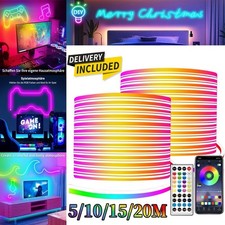 Striscia LED neon 5/10/20 m