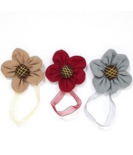 2 Calamita Fiore Legatenda