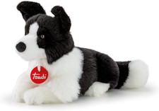 Border Collie Scott Cane