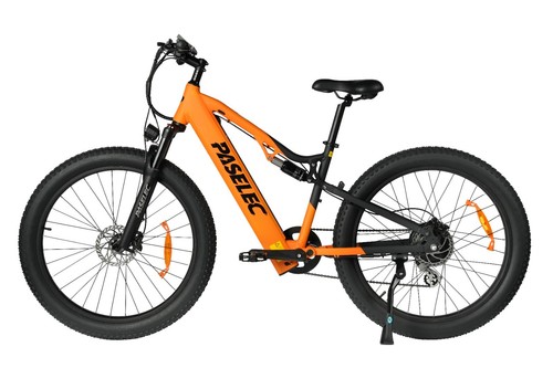 Gs9 bicicletta elettrica 1000w - bicicletta,