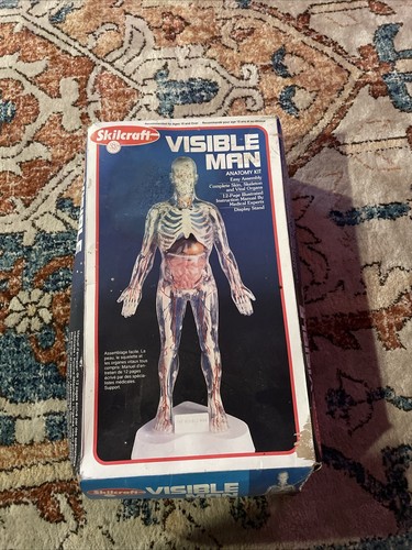 Visible man anatomy plastic - man,