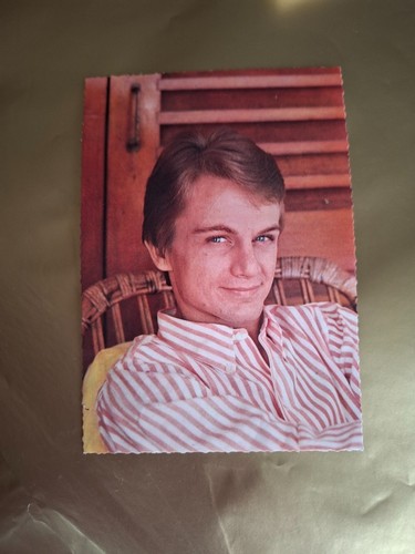 Claude françois photo - claude,