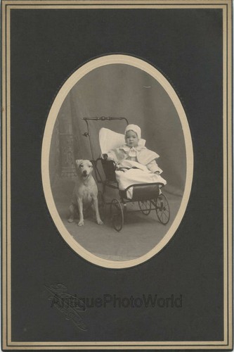 Carino bambina passeggino - carino,